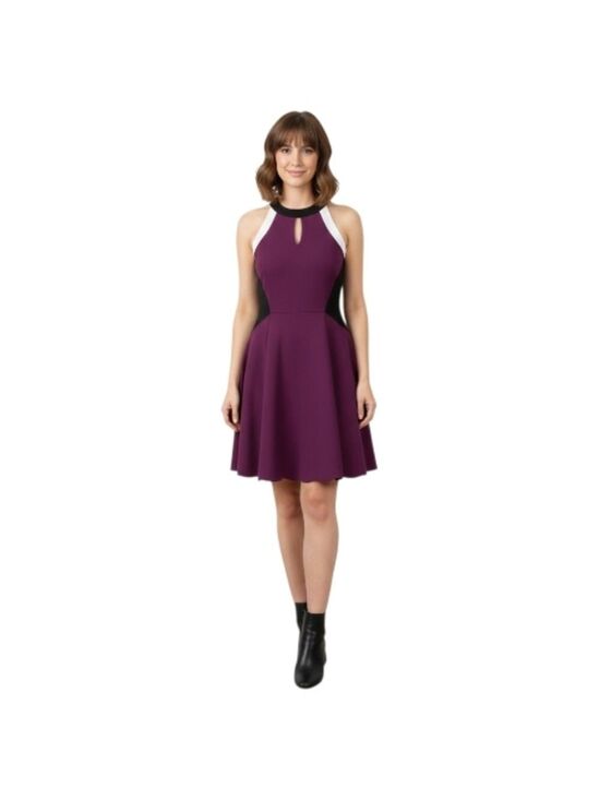 Tommy Hilfiger Dresses & Skirts - Tommy Hilfiger A-Line Style Midi. Plum  with Gold Zipper Back